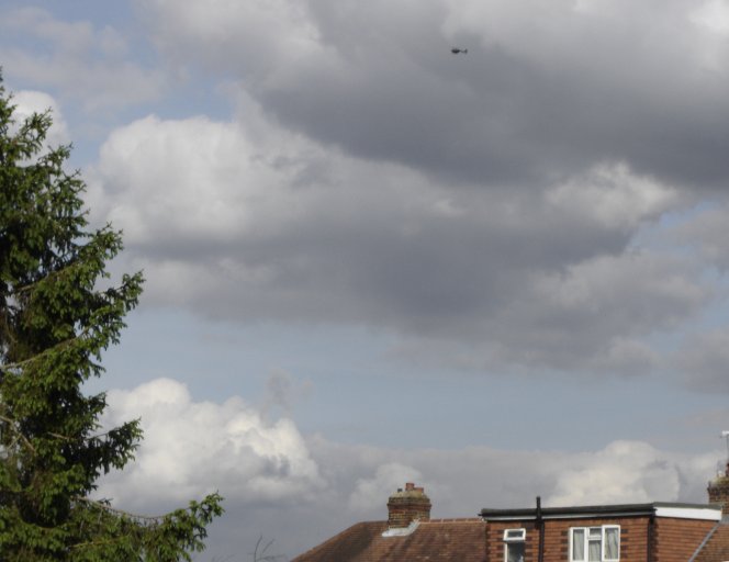 Chopper follows the queen's cavalcade from Epsom Derby.